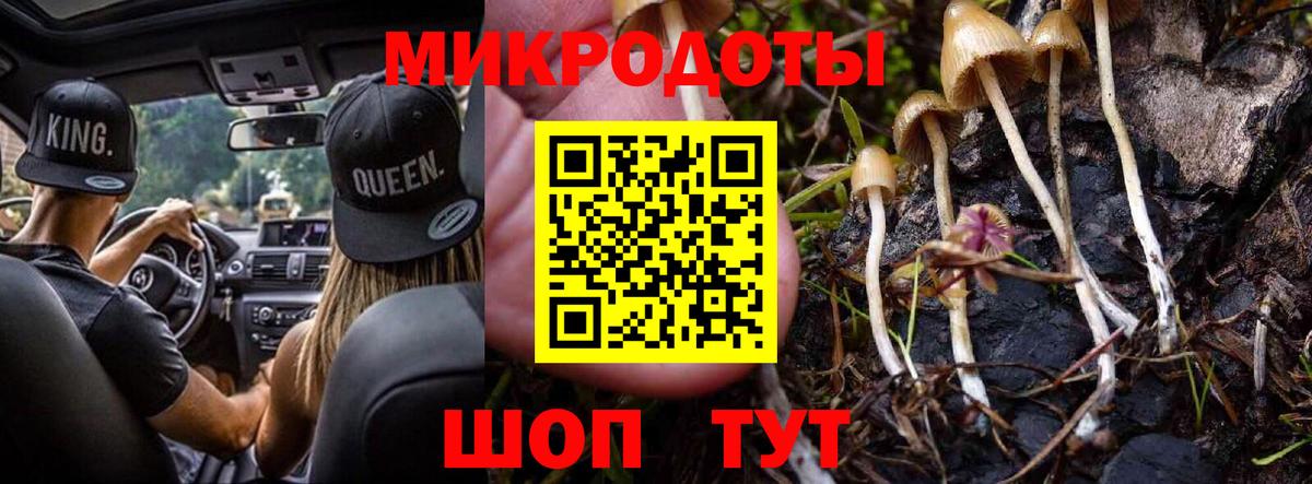 Урус-Мартан  Псилоцибиновые грибы MAGIC MUSHROOMS  Вход с VPN  Псилоцибиновые грибы мицелий 