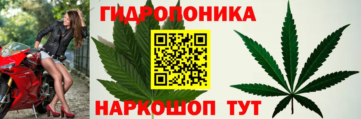 Канабис AK-47  Вход с VPN  Шишки марихуана конопля  Урус-Мартан 